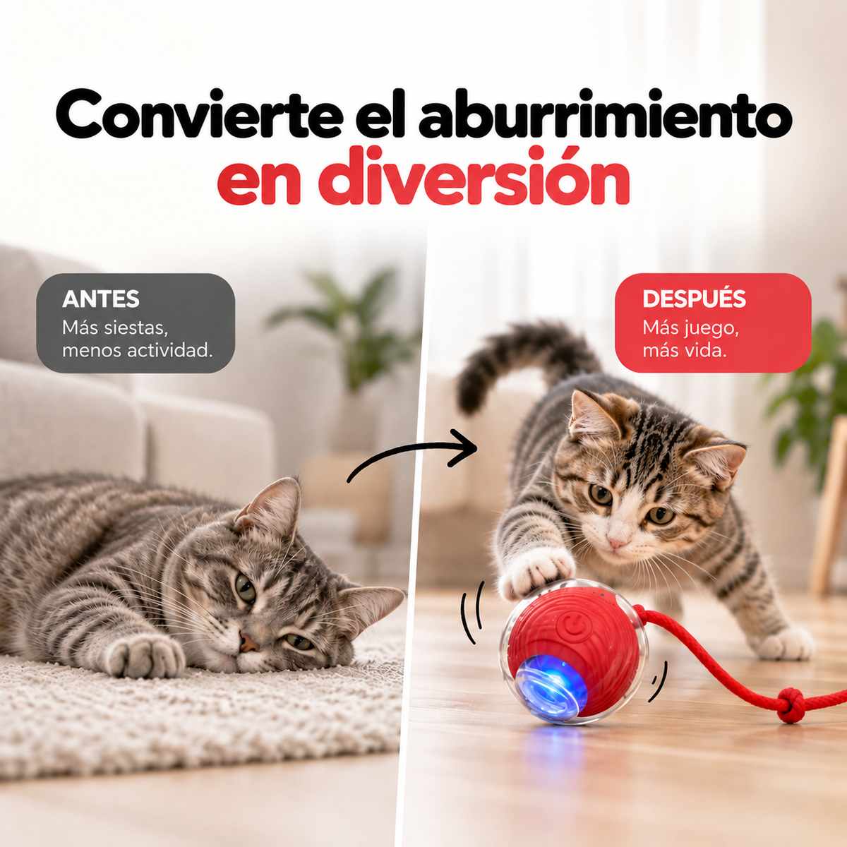 Pelota Interactiva para tu gato