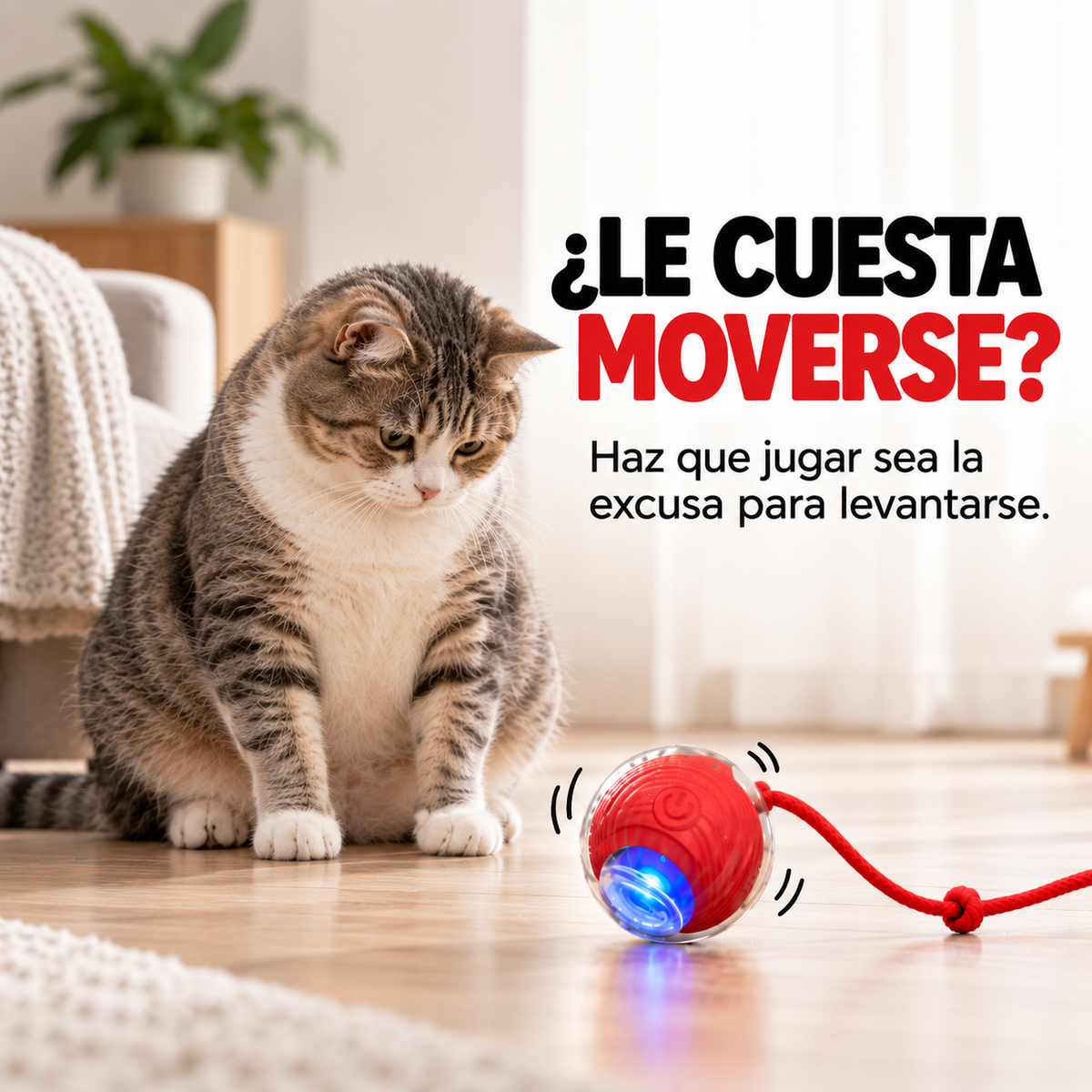 Pelota Interactiva para tu gato